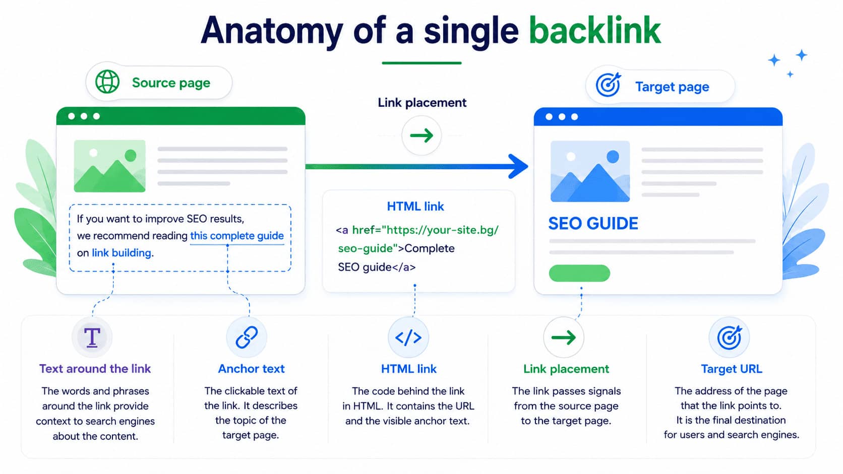 backlink anatomy